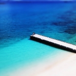 アンチ浜